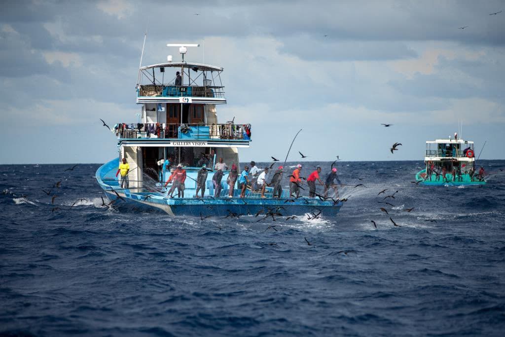 Pole and Line Fishing