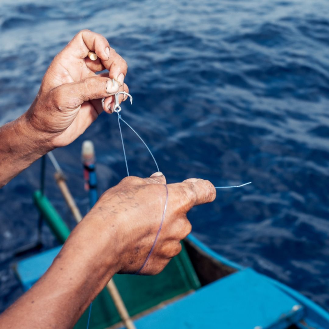 Sustainable harvesting illustration